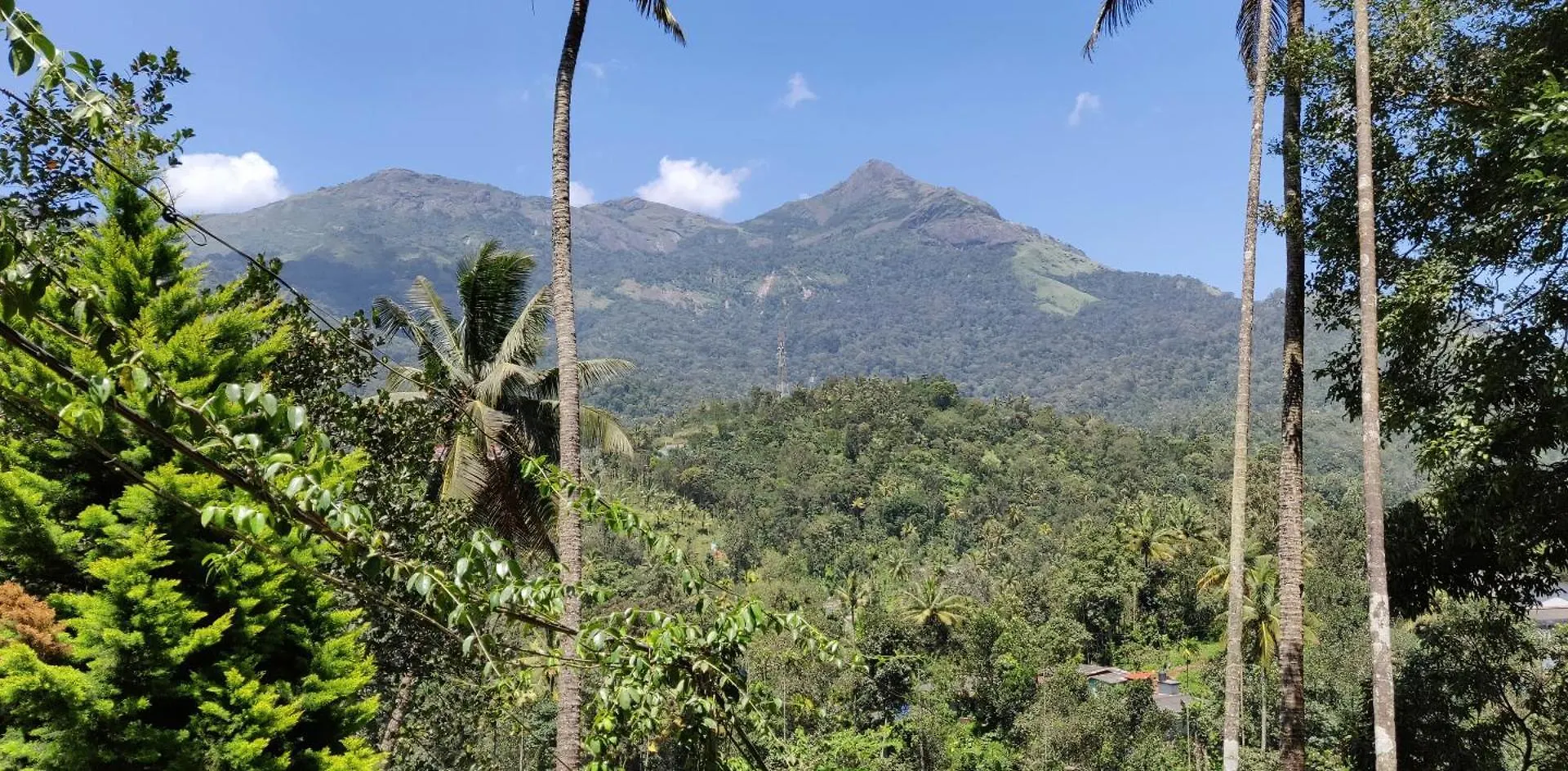 Domek letniskowy M3 Homes Munnar