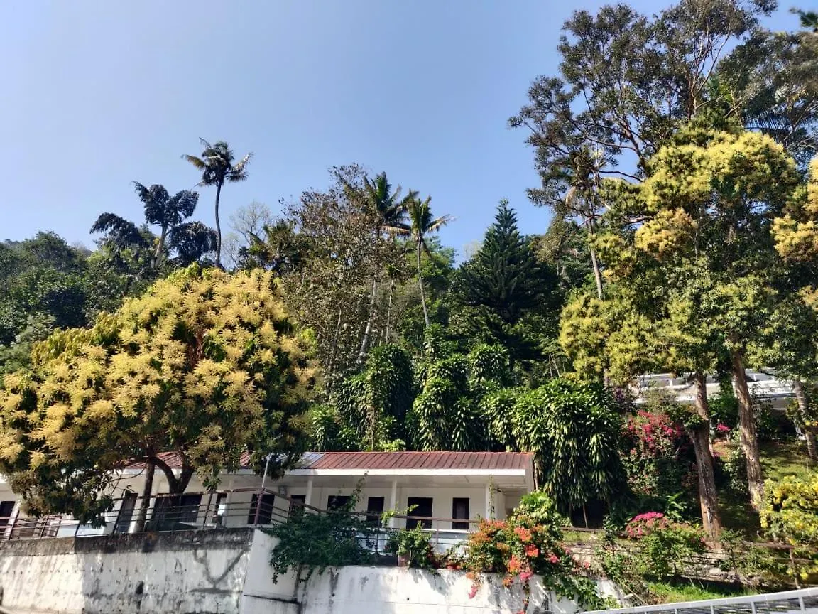 M3 Homes Munnar