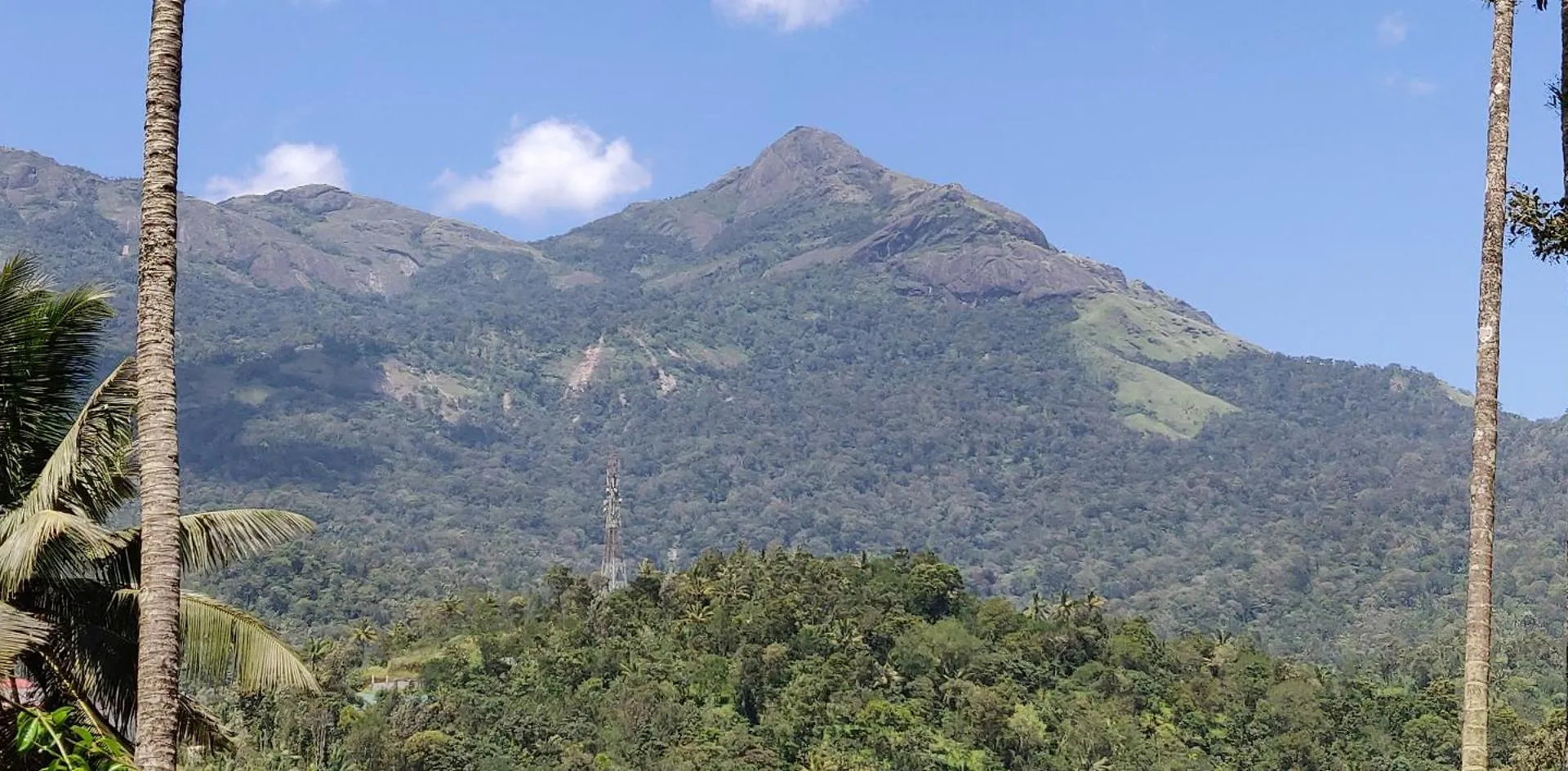 Domek letniskowy M3 Homes Munnar