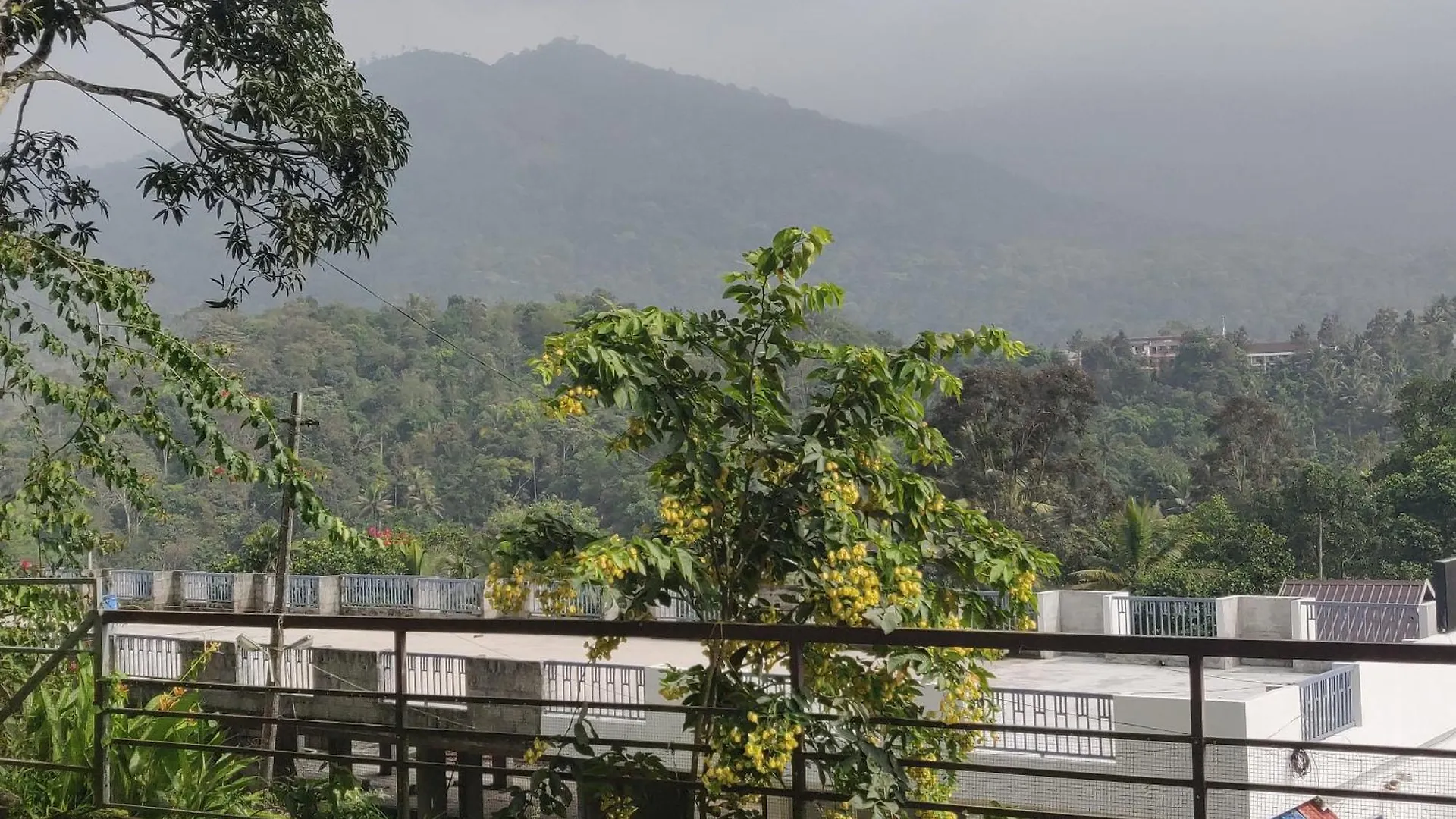 M3 Homes Munnar Domek letniskowy