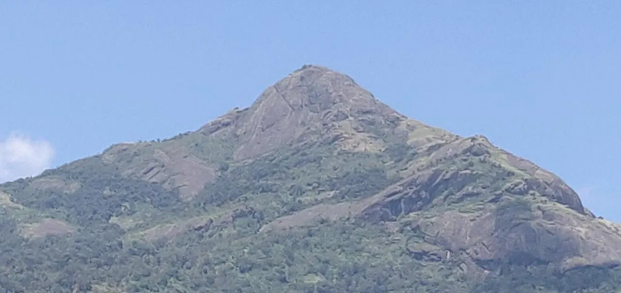Domek letniskowy M3 Homes Munnar Indie